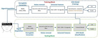 Artificial neural network models: implementation of functional near-infrared spectroscopy-based spontaneous lie detection in an interactive scenario